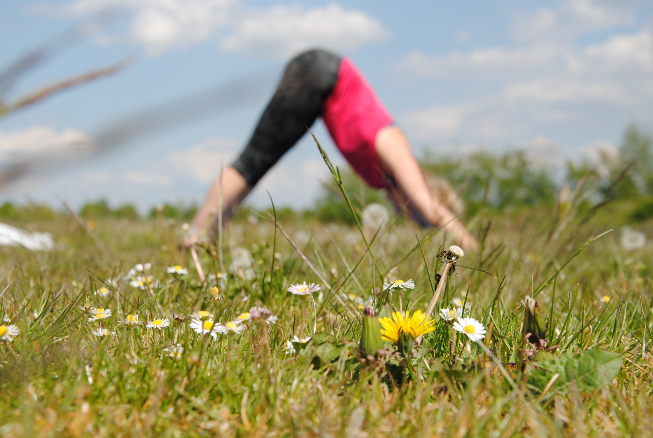 Wiesenyoga